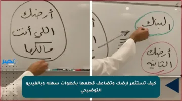 كيف تستثمر أرضك وتضاعف قطعها بخطوات سهلة وبالفيديو التوضيحي